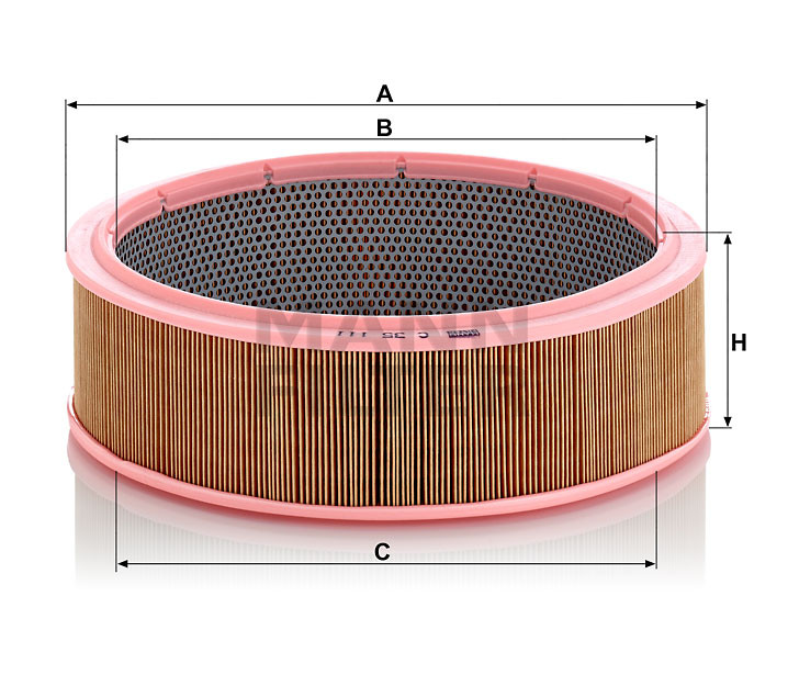 Filtr powietrza (wkład)  C 35111 