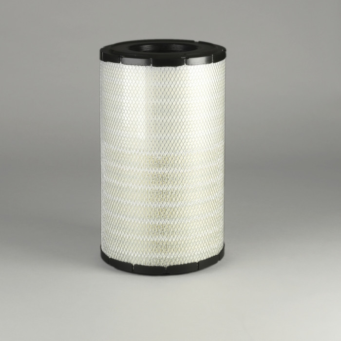 Filtr powietrza  P788696 