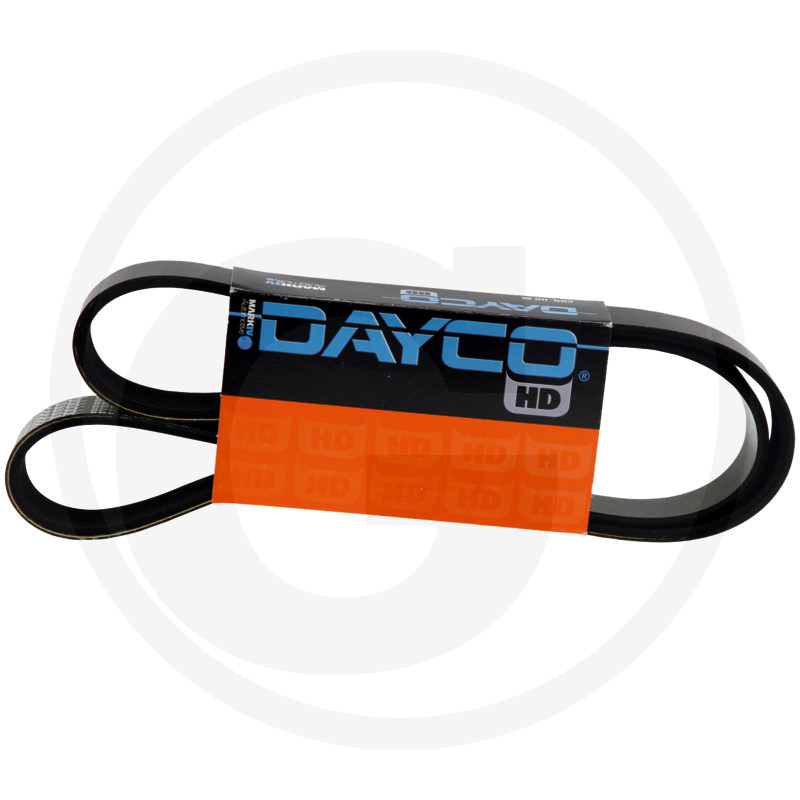 Dayco Pas klinowy rowkowany  74712147 